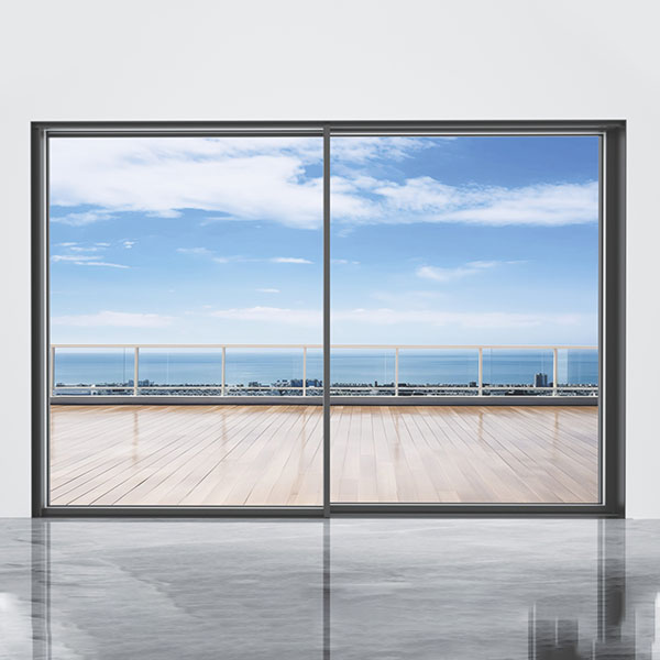 Панорамная дверь (1)